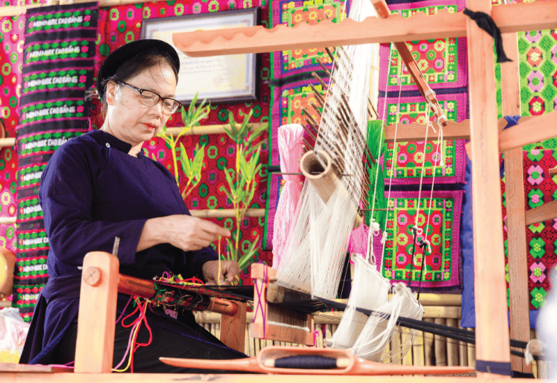 Lịch sử và phát triển