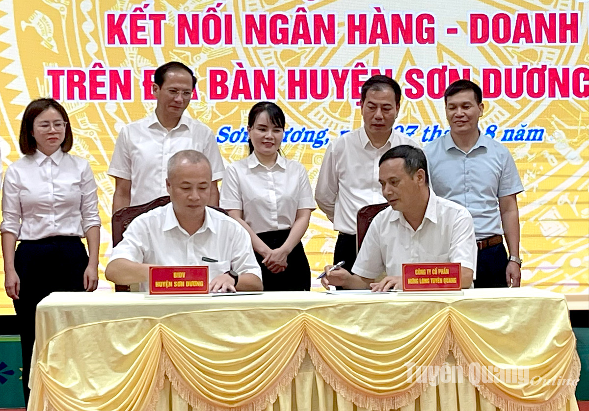 BIDV đồng hành cùng doanh nghiệp Tuyên Quang phát triển sản xuất, mở rộng đầu tư