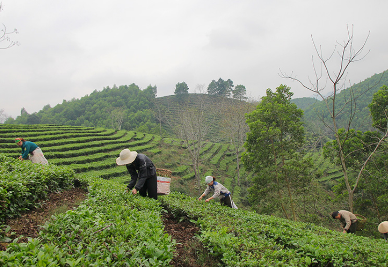 Những trải nghiệm khi ghé thăm