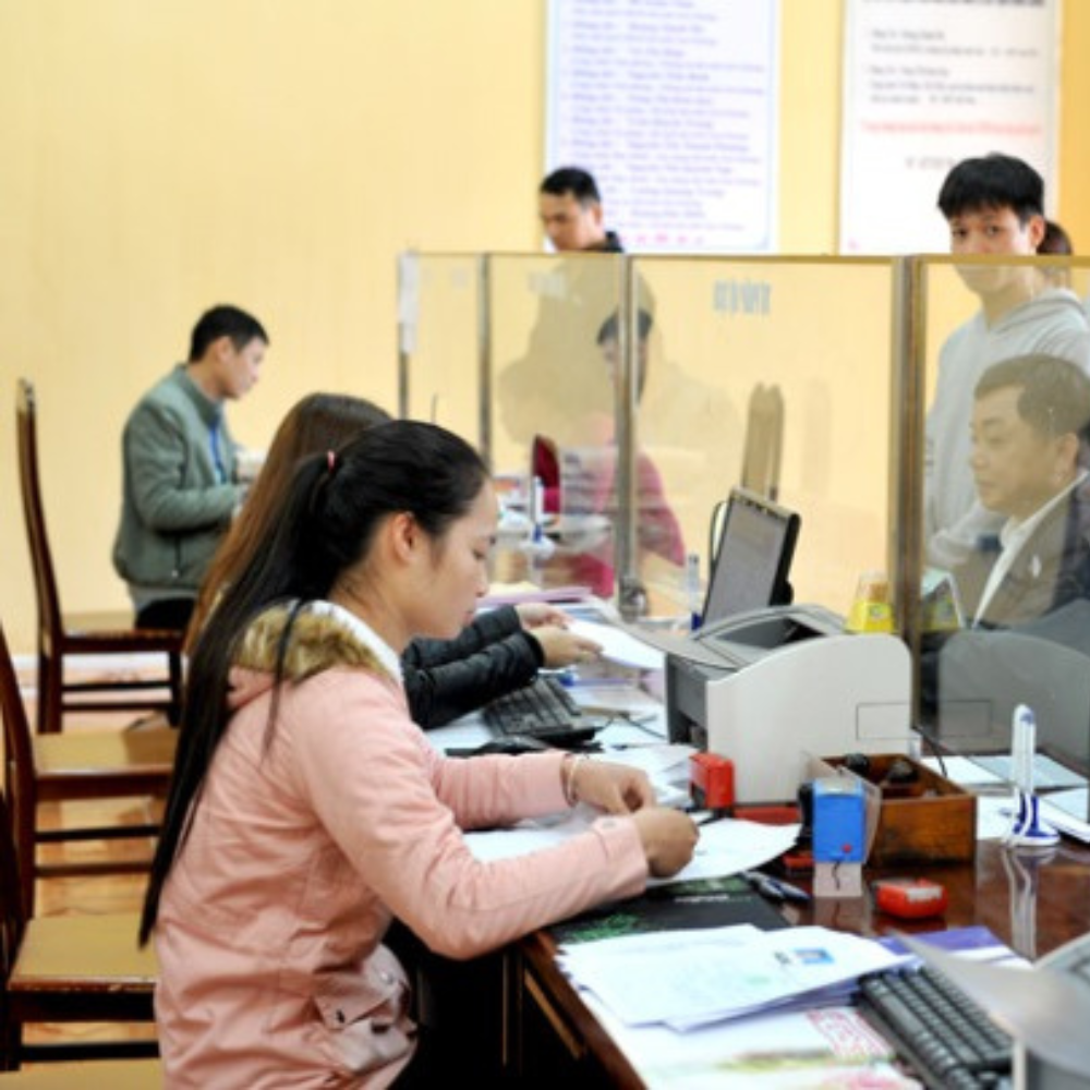 Tuyên Quang: Tạo Mọi Điều Kiện Hỗ Trợ Doanh Nghiệp Phát Triển