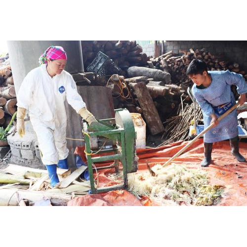 HTX Tuyên Quang: Từ thoát nghèo đến làm giàu trên chính quê hương