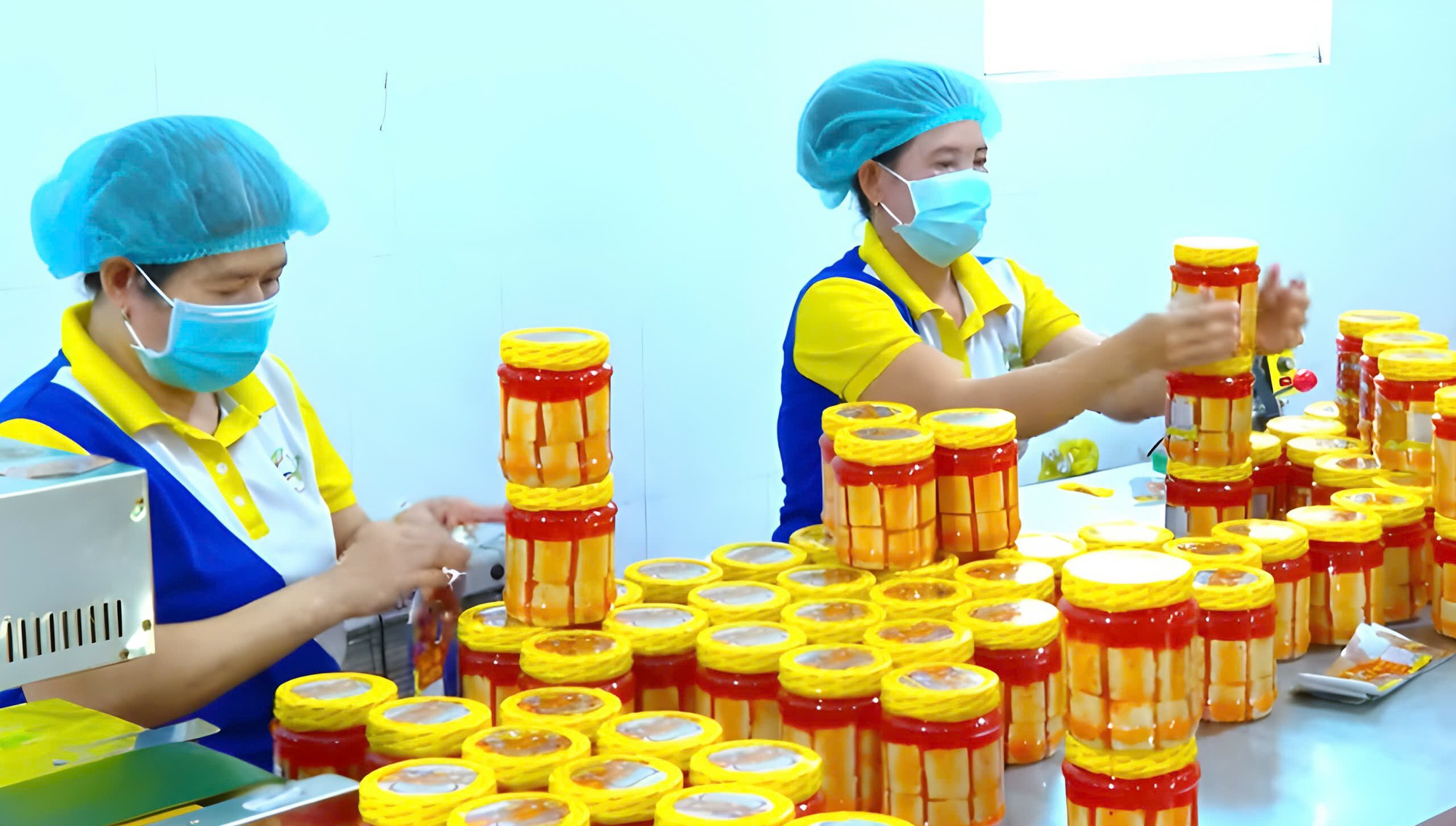 Vĩnh Long hỗ trợ doanh nghiệp nhỏ và vừa ứng dụng thương mại điện tử, thúc đẩy chuyển đổi số