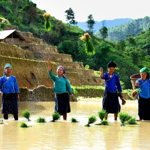 Dân Tộc Nùng