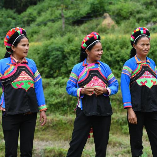 Dân Tộc Phù Lá