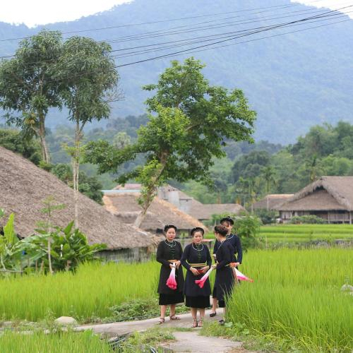 Dân Tộc Tày