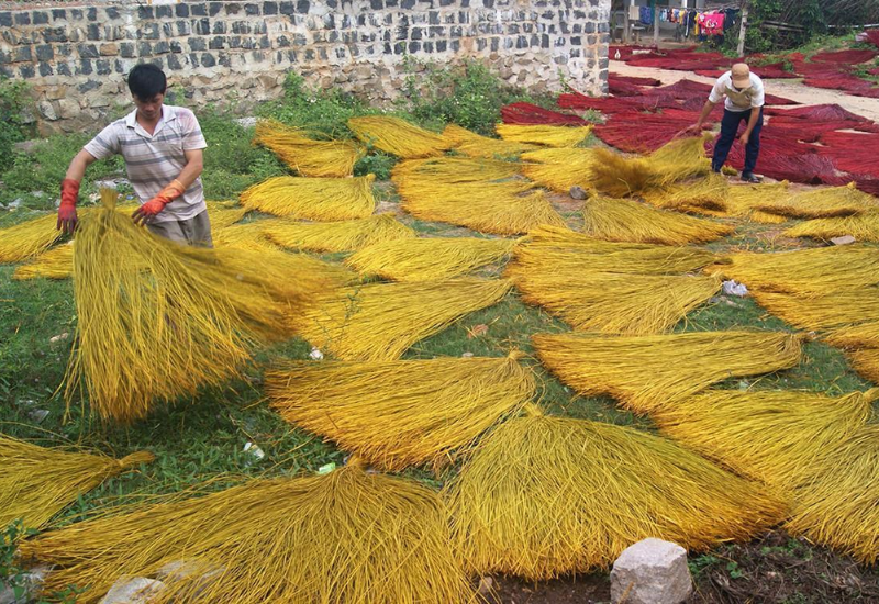 Giới thiệu