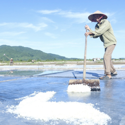 Làng Nghề Muối Thôn Châu Hạ