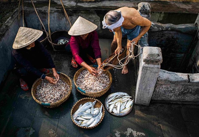 Giới thiệu