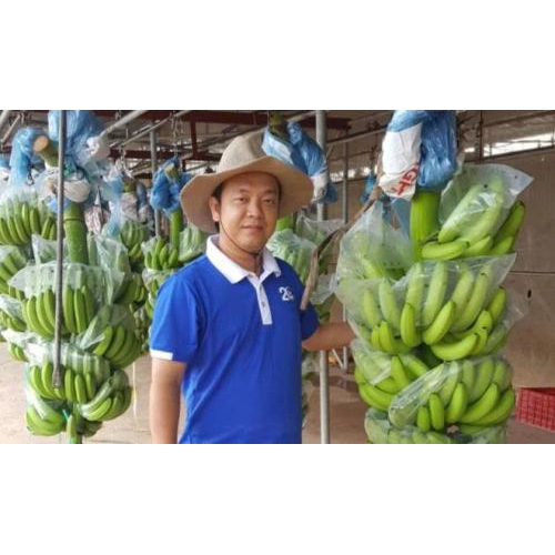 Người thầy Israel