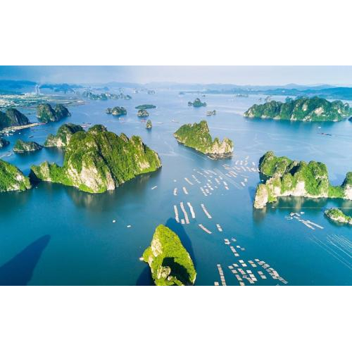 Hành Trình Ẩm Thực Quảng Ninh: Khám Phá Đặc Sản Theo Vùng Miền