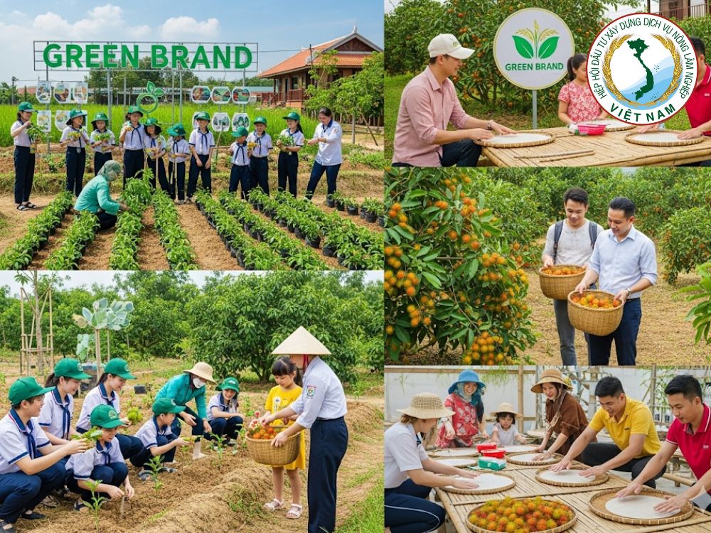 3. Nông trại sinh thái kết hợp du lịch giáo dục