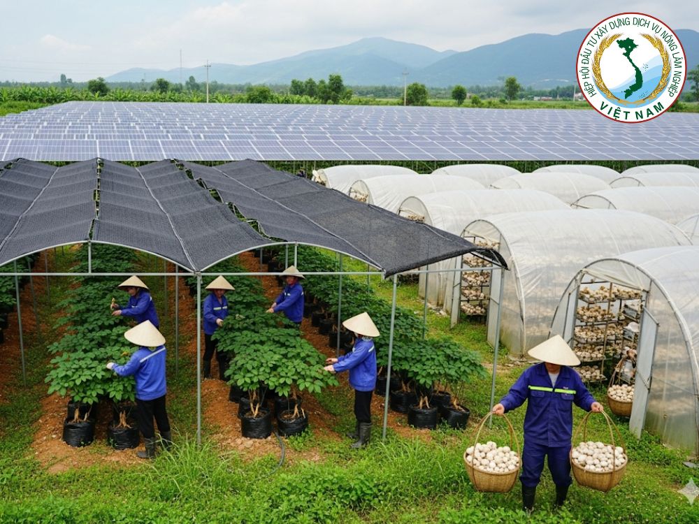 1. Mô tả tổng quan về mô hình kết hợp