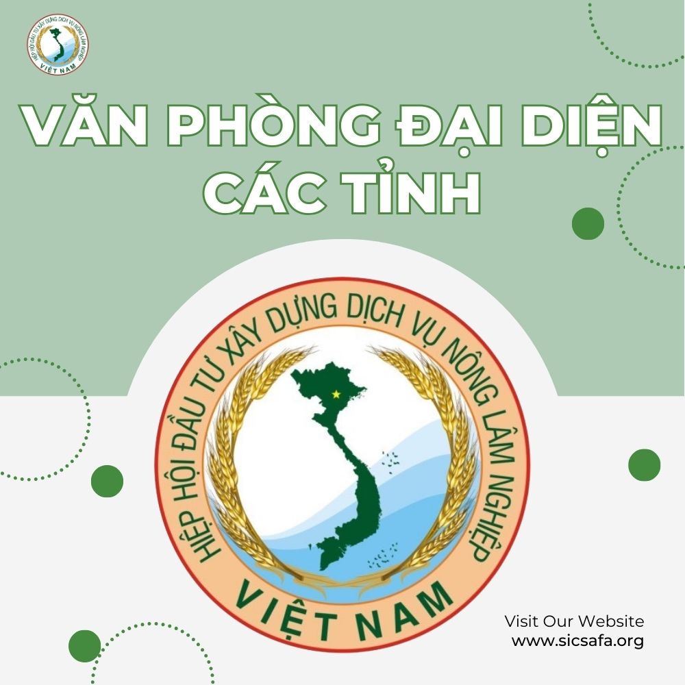 Văn Phòng Đại Diện Các Tỉnh