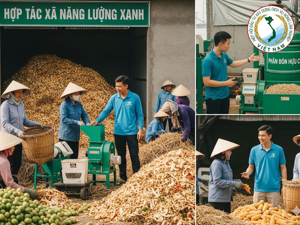 4. Tái chế phế phẩm & năng lượng sinh khối