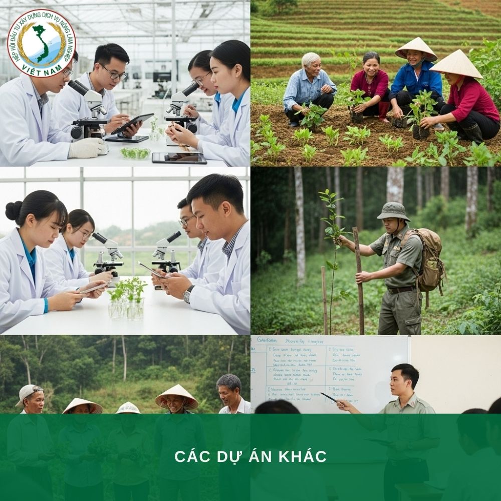 Triển Khai Dự Án Cộng Đồng, Hợp Tác & Đổi Mới Nông Thôn Việt