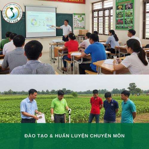 Thực Hành Kỹ Thuật – Công Nghệ – Quản Trị Cho Nông, Lâm Việt Nam