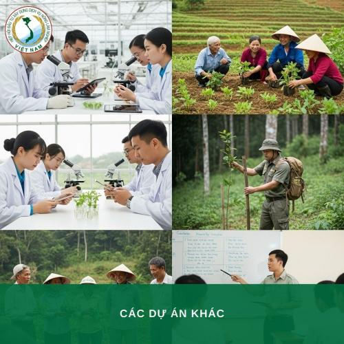 Triển Khai Dự Án Cộng Đồng, Hợp Tác & Đổi Mới Nông Thôn Việt