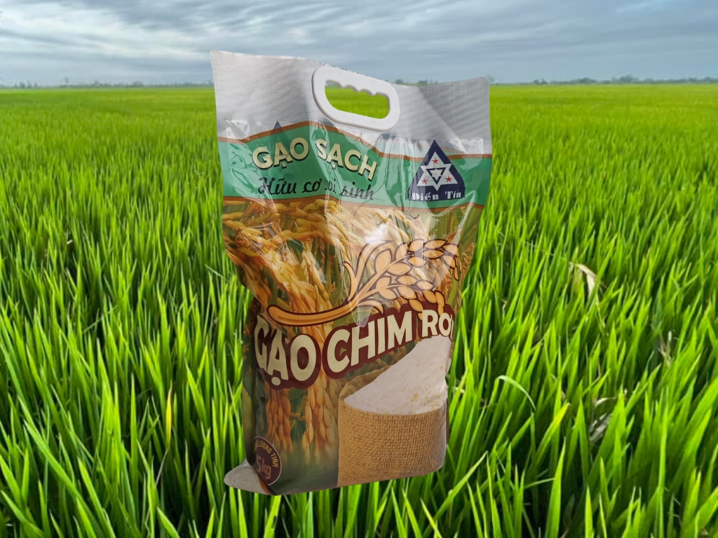 Giới thiệu