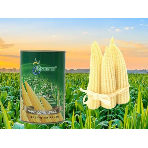 Bắp Non Đóng Hộp Antesco 425g - Baby Corn Whole