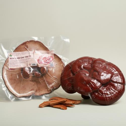 Nấm Linh Chi Tai To Hiền Nương Farm 120gr - Đặc Sản An Giang