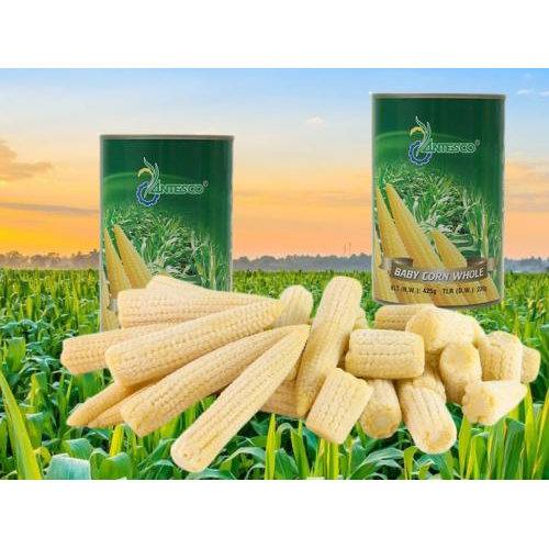 Bắp Non Đóng Hộp Antesco 425g - Baby Corn Whole