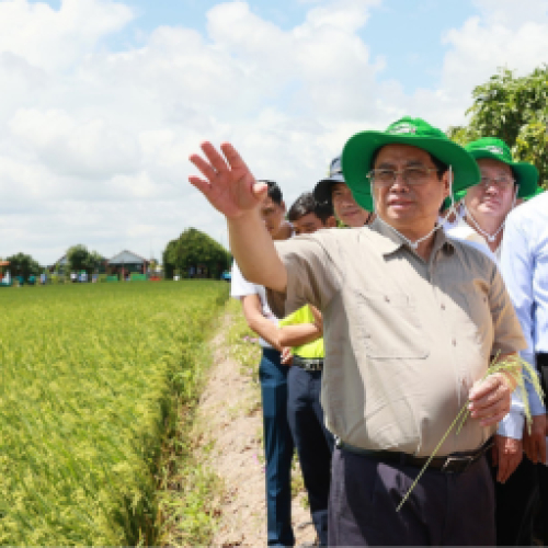 Hợp tác xã
