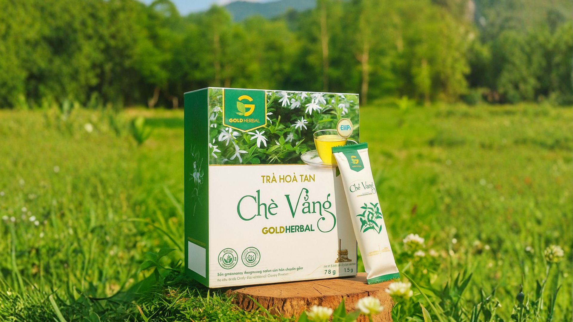 Gold Herbal – Đưa chè vằng Quảng Trị lên tầm cao mới