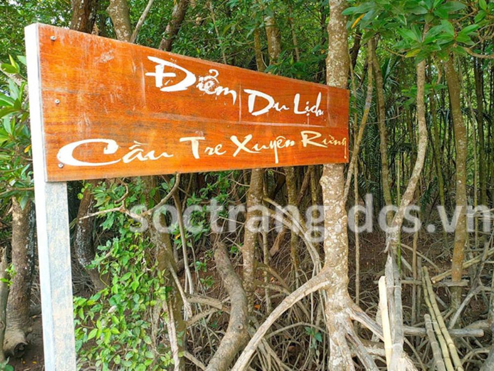 Nội dung xúc tiến – Quảng bá
