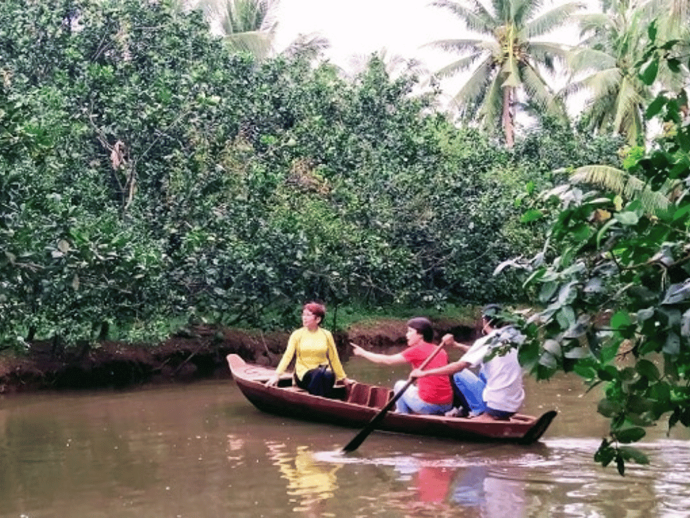 Du lịch Sinh thái Cồn Hô