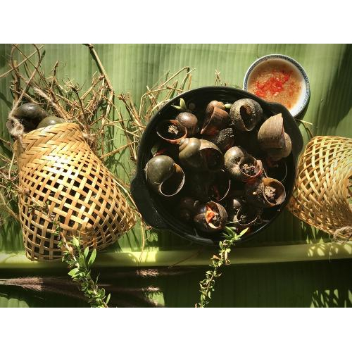 Ốc Gác Bếp 500gr