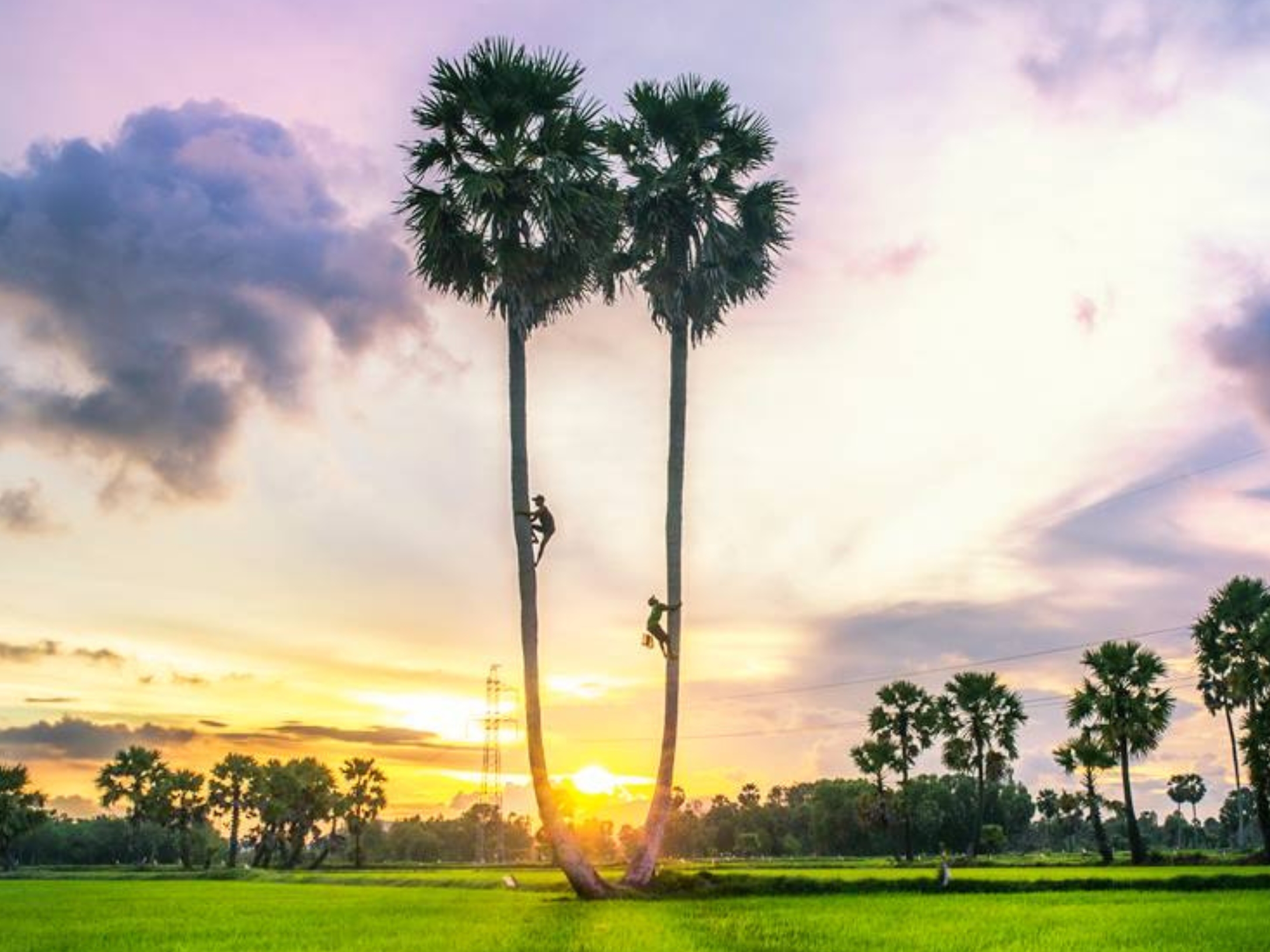 Competitive Advantages