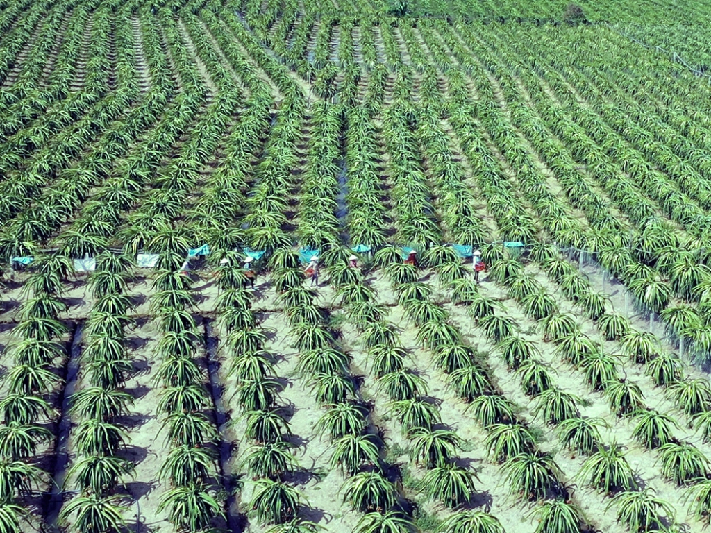 Environmental Commitment