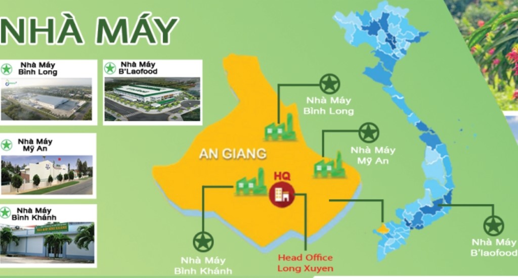 Historical Milestones