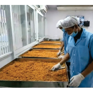 Thuan Loi Phat Tai Co., Ltd