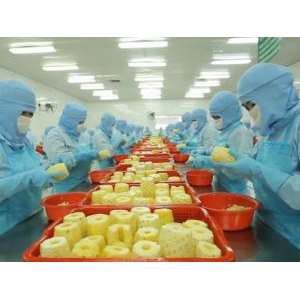 An Giang Fruit-Vegetables & Foodstuff Joint Stock Company (ANTESCO)