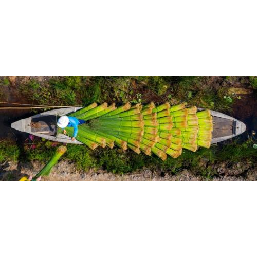 Phu My Women’s Sedge Cooperative