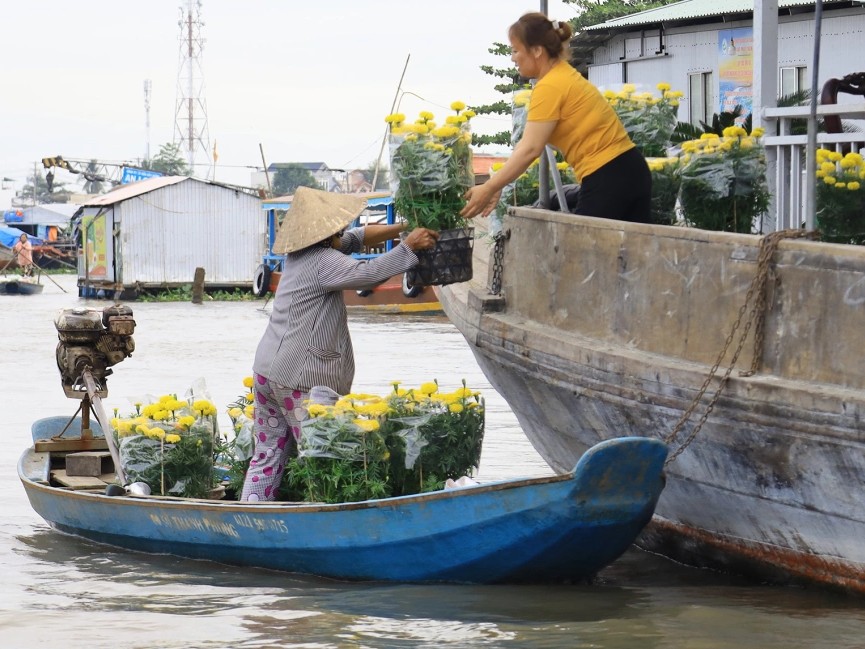 Cần Thơ hút hơn 4 triệu lượt khách nửa đầu năm