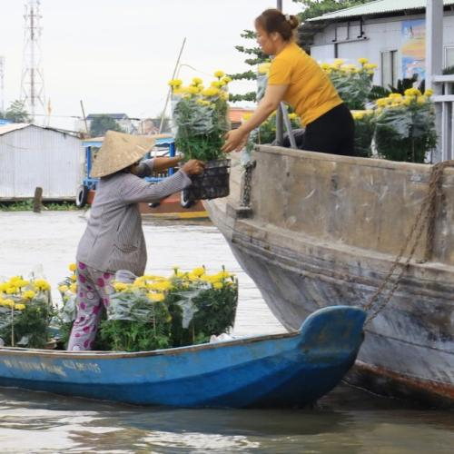 Cần Thơ Hút Hơn 4 Triệu Lượt Khách Nửa Đầu Năm