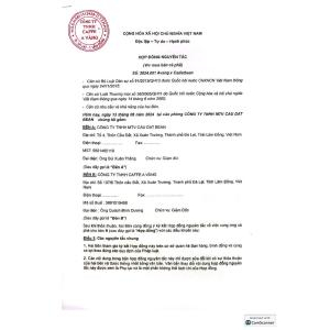 TCB CÀ PHÊ VÀNG PHIN GIẤY A RABICA YELLO