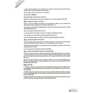 TCB CÀ PHÊ VÀNG PHIN GIẤY A RABICA YELLO