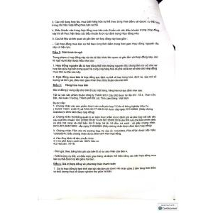 TCB CÀ PHÊ VÀNG PHIN GIẤY A RABICA YELLOW 12GR