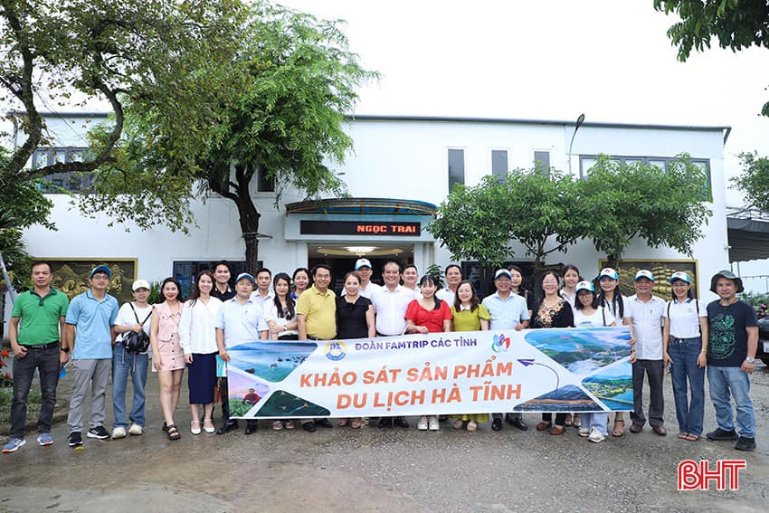 Hoạt động chính