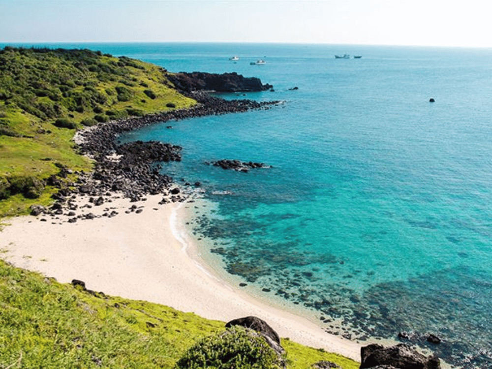 Các hoạt động du khách có thể trải nghiệm