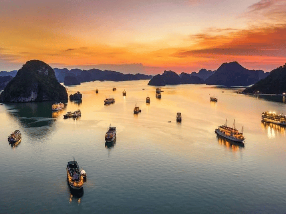 Các hoạt động du khách có thể trải nghiệm