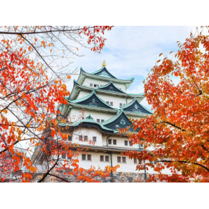 Nhật Bản 6 ngày 5 đêm vào tháng 10