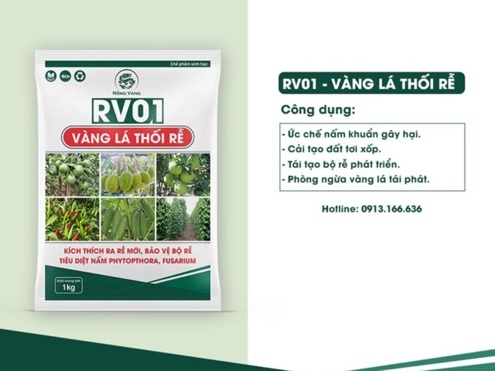 Phòng trừ nấm bệnh