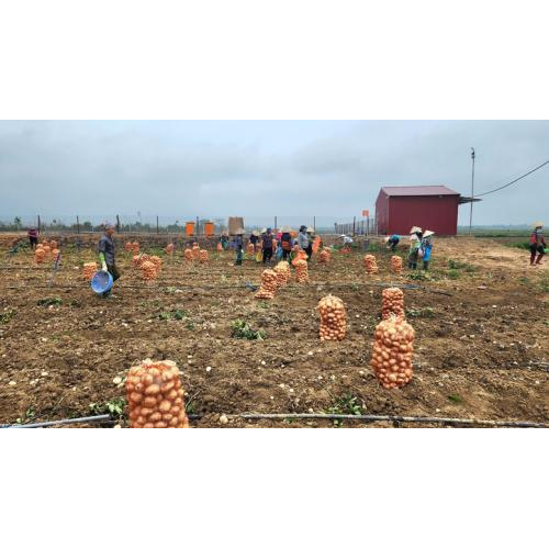 Cần tư duy đổi mới