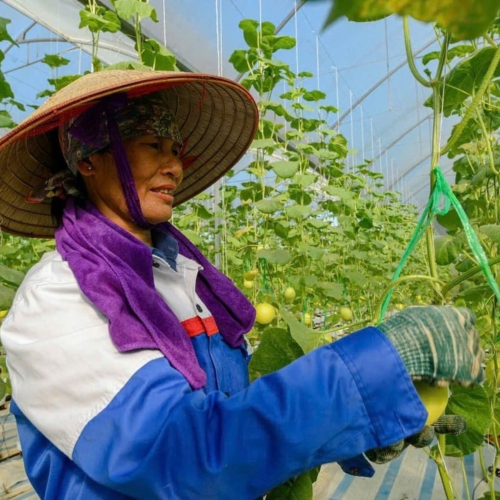 Ngành Nông Nghiệp Và Môi Trường Bứt Phá Thành Trụ Cột Tăng Trưởng Xanh