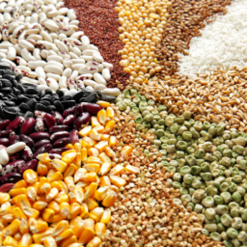Ngũ cốc