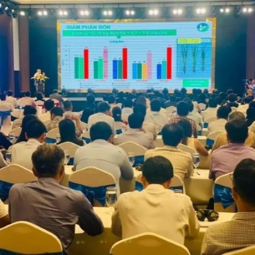 Ứng Dụng Công Nghệ Chuyển Đổi Số, Chuyển Đổi Xanh Trong Sản Xuất Lúa Gạo